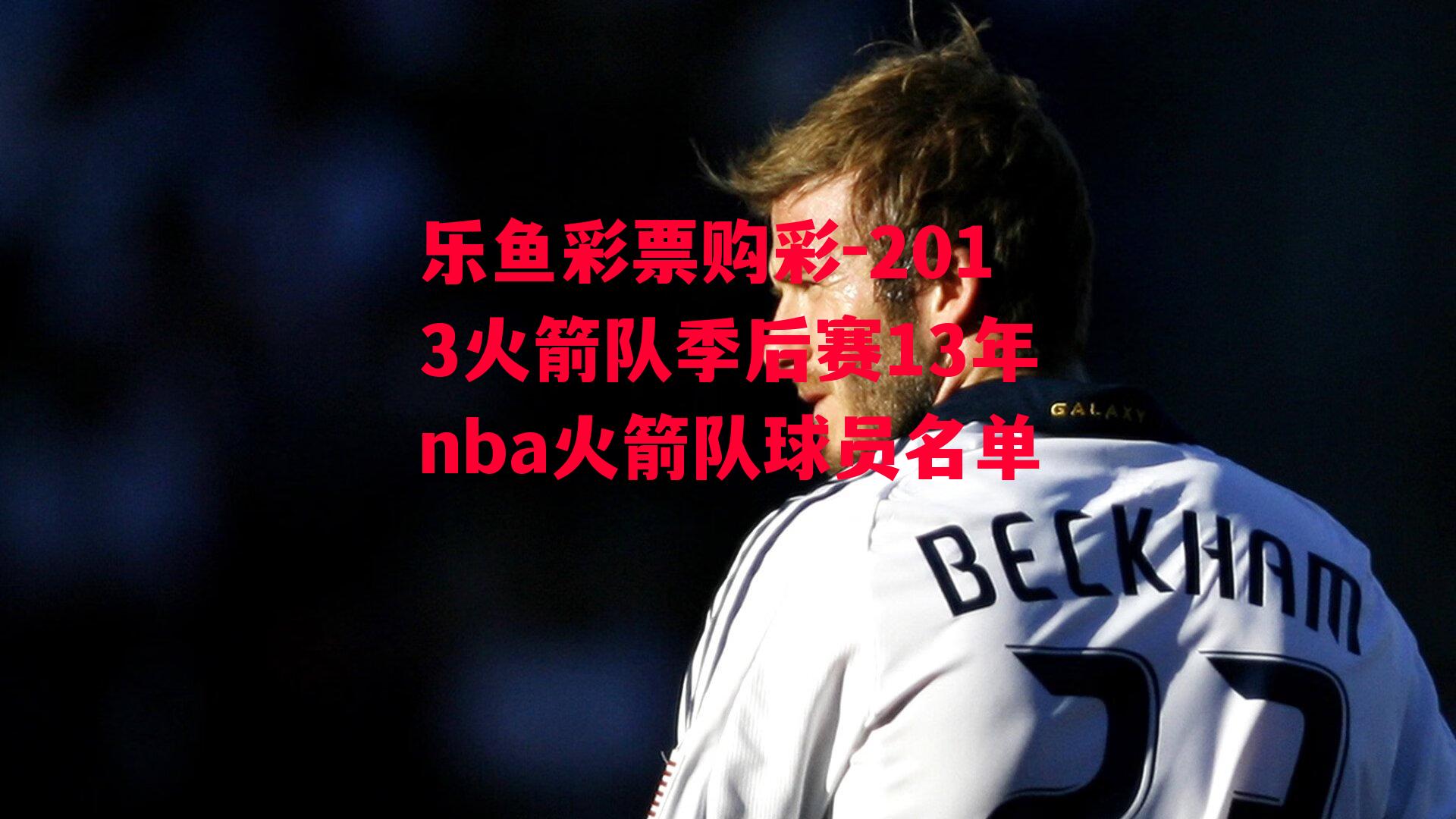 乐鱼彩票购彩-2013火箭队季后赛13年nba火箭队球员名单